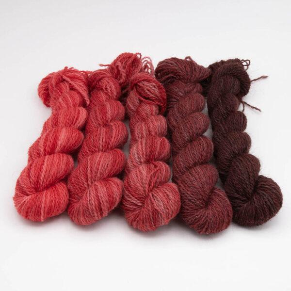 Set of five mine skeins in a turquoise gradient which starts as bright red and ends as black. Mini skeins are arranged in a row.