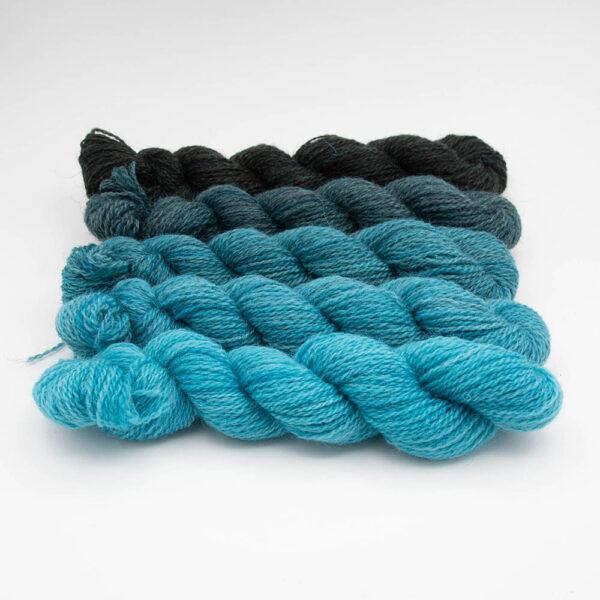 Set of five mine skeins in a turquoise gradient which starts as bright turquoise and ends as black. Mini skeins are arranged in a row.